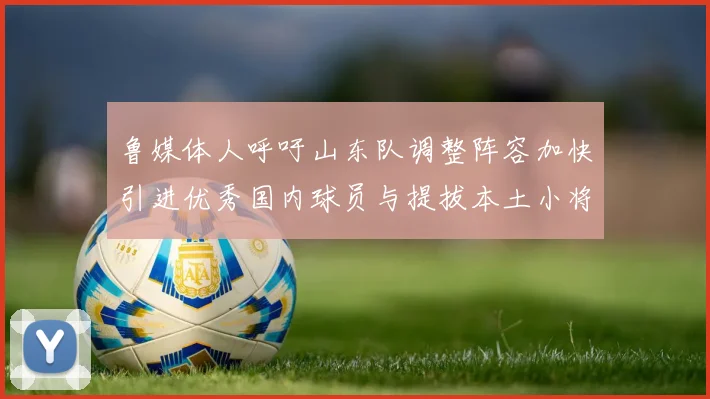 鲁媒体人呼吁山东队调整阵容加快引进优秀国内球员与提拔本土小将