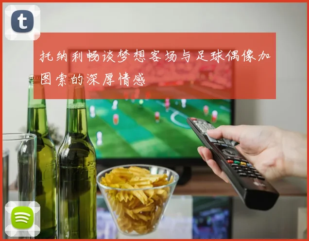 托纳利畅谈梦想客场与足球偶像加图索的深厚情感