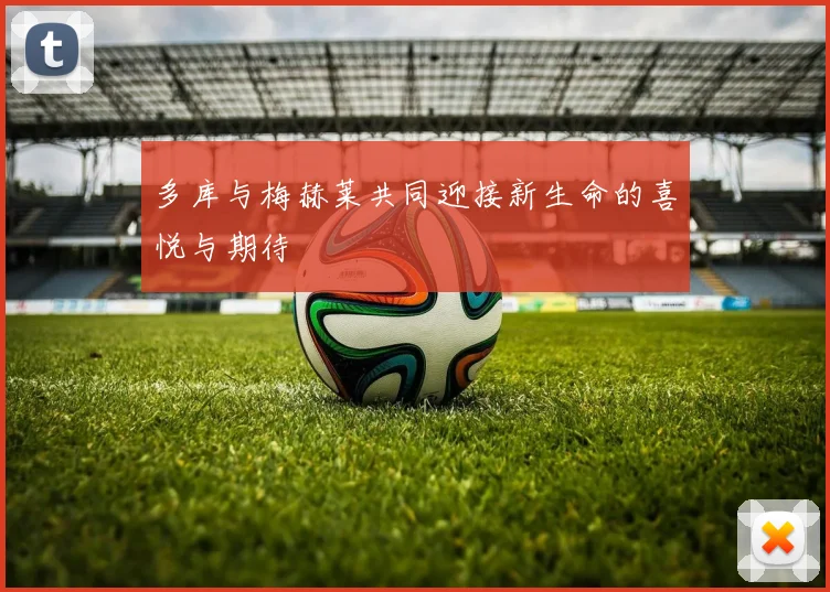 多库与梅赫莱共同迎接新生命的喜悦与期待